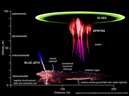 meduza0