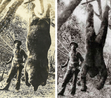 bigfoot medved