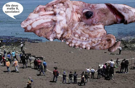 chobotnice4