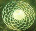 Torus 3