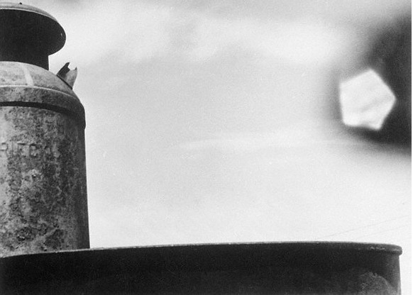 1966-august-2-new-castle-pennsylvania-usa