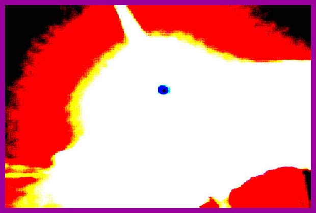 f20040020b_bratislava