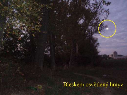 f20080810_polakovic188_f