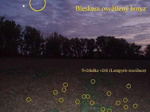 f20080810_polakovic196_f