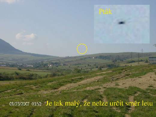 f20080810_polakovic520_f