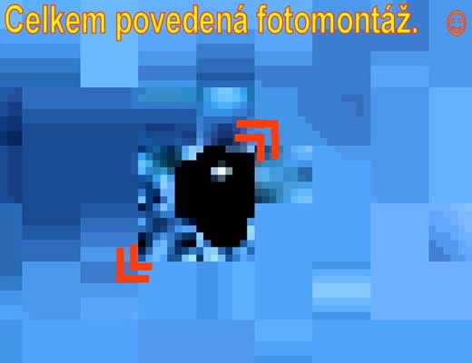 f20090613_dacice-vyrezuprava