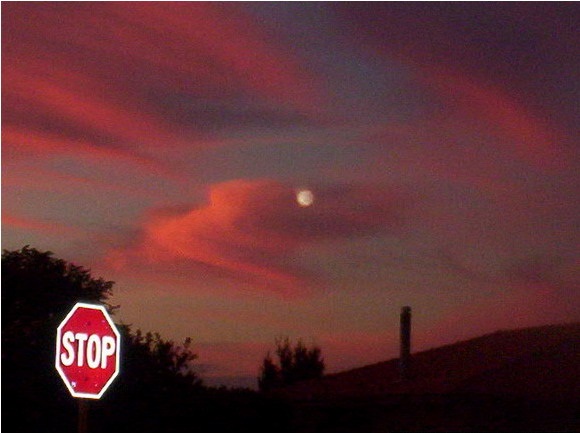 2005-03-13-Waroona-Western-Australia-Australia