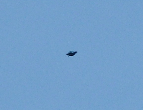 2006-06-08-Zagreb-Croatia